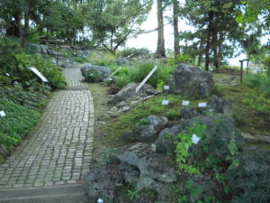 tipologie dei giardini