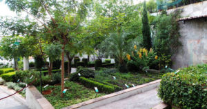 tipologie dei giardini