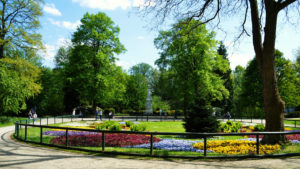 categorie dei giardini