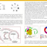 Concorso internazionale di progettazione