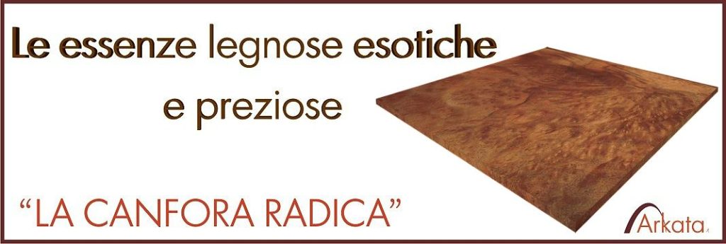 Le essenze legnose esotiche "la canfora radica"